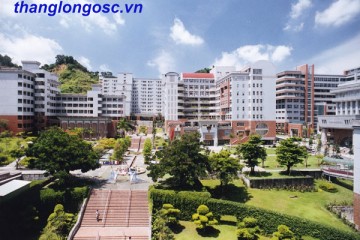 Đại học Daebul – trường tư thục uy tín, chất lượng tại Hàn Quốc