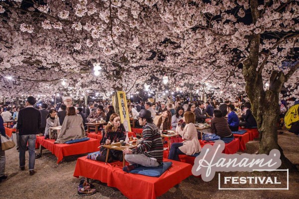 Lễ hội Hanami