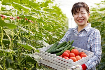 Giới thiệu về đơn hàng nông nghiệp nhật bản dành cho nữ lương cao